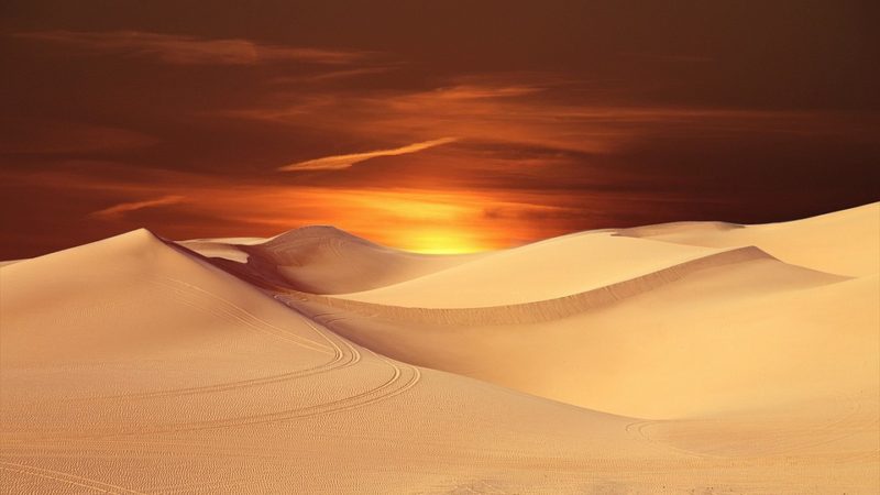 Интересные факты о пустынях