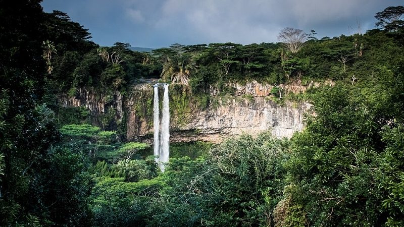 Интересные факты об экваториальных лесах