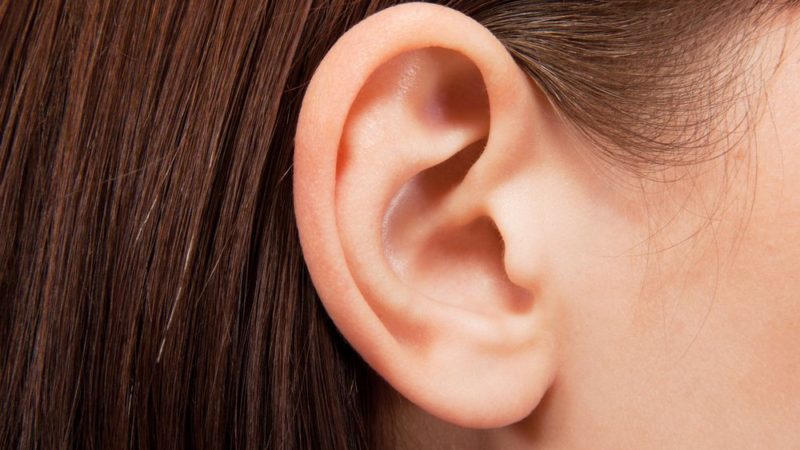 Интересные факты об ушах человека